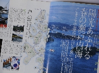 homepage 017.JPG