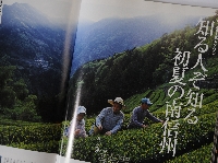 homepage 116.JPG