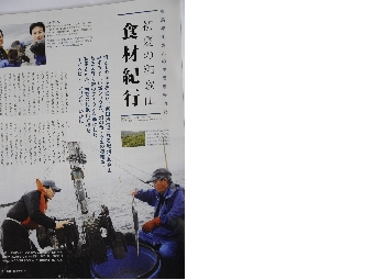homepage 137.JPG