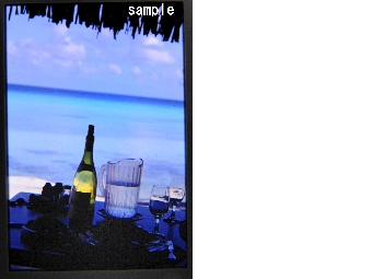 ポジsaple 001.jpg