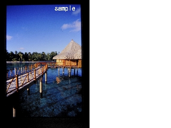 ポジsample 003.jpg